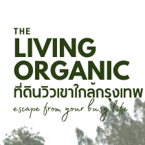 ตัวอย่างเซลเพจอสังหาริมทรัพย์ขายที่ดิน the living organic converrpage